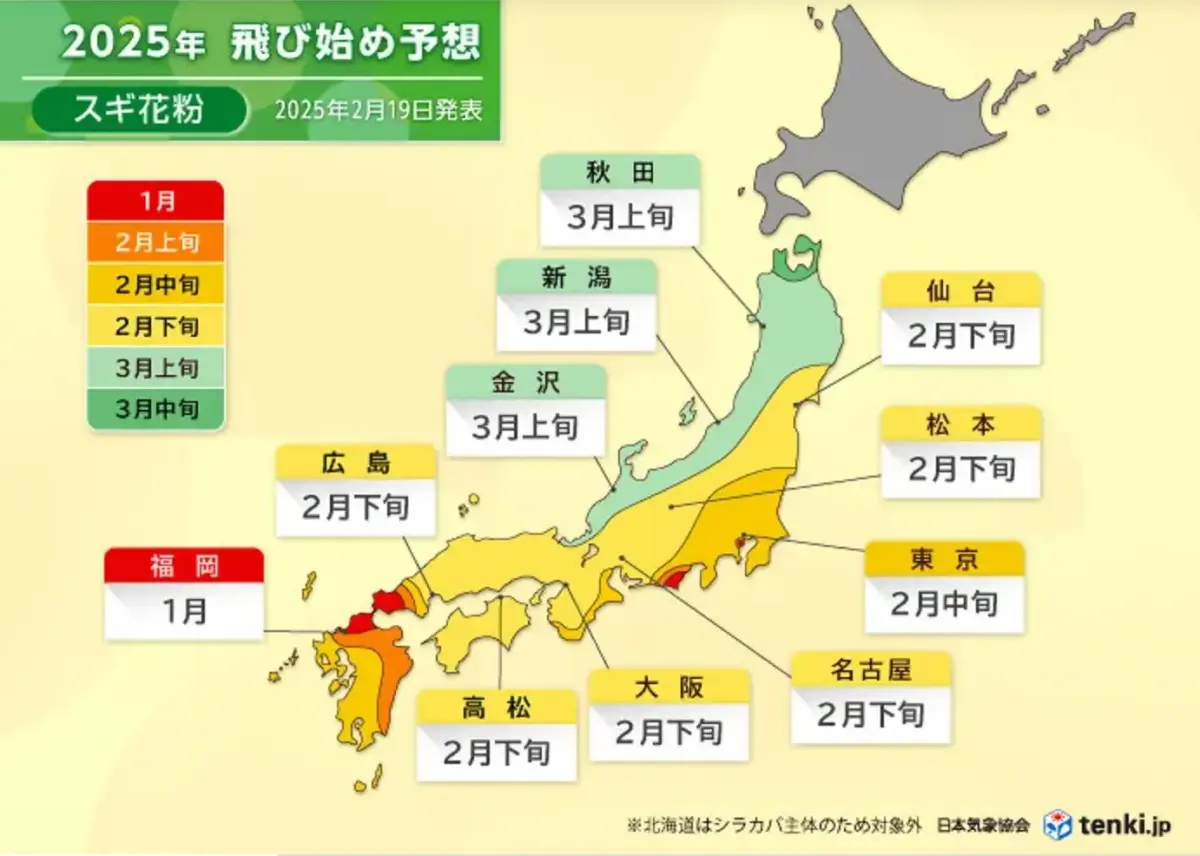 花粉飛び始め予想